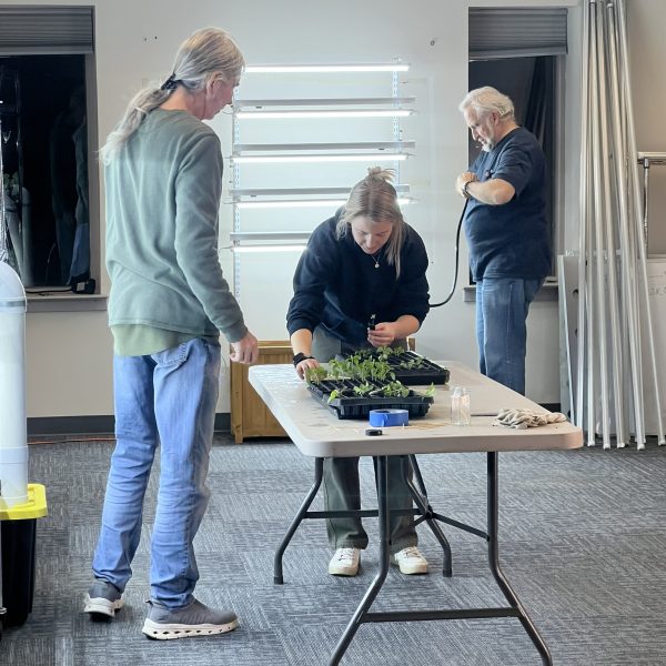 Moving basil into NFT unit