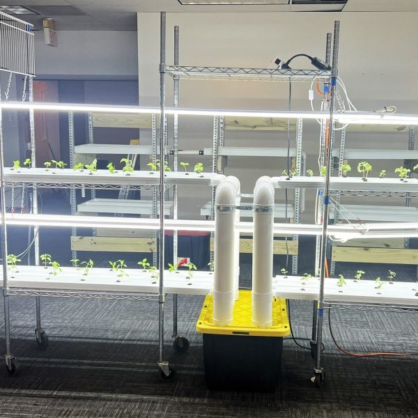 LED lights to brighten