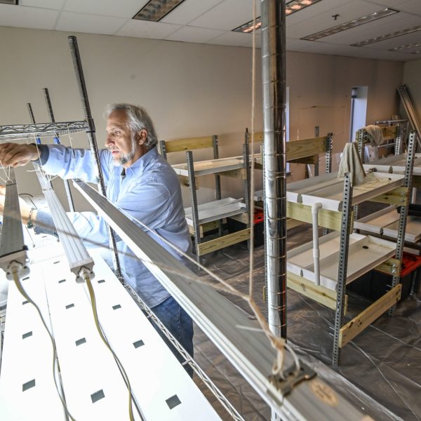 Webb getting those lights on straight