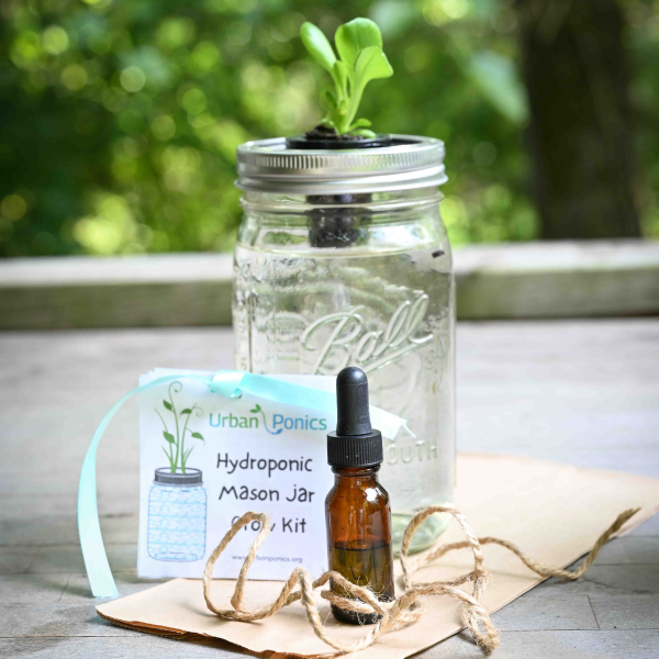 Hydroponic Quart Jar Grow Kit