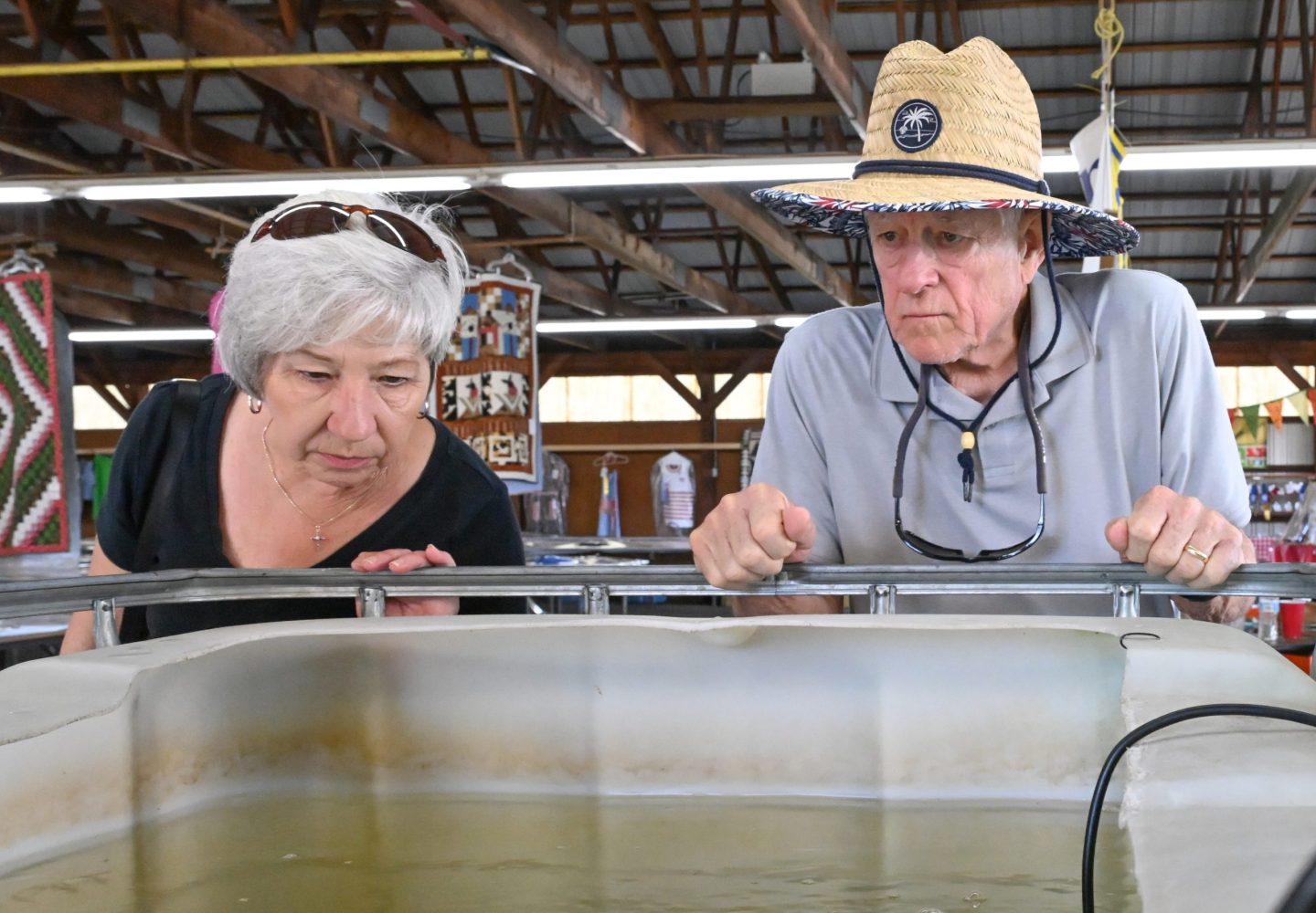 Elders checking out the Tipapia in the IBC tank.