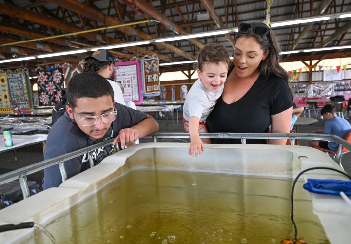 Mom with kids checking out the Tilapia.