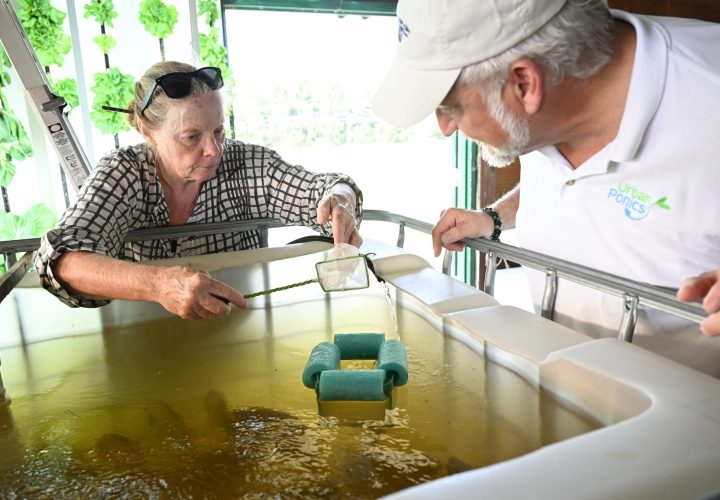 2nd set of babies at the MGF