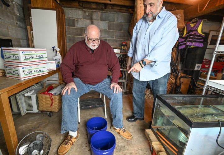 Baby fish unloading from the mail