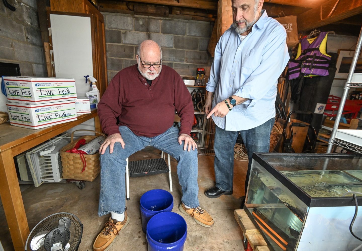 Baby fish unloading from the mail