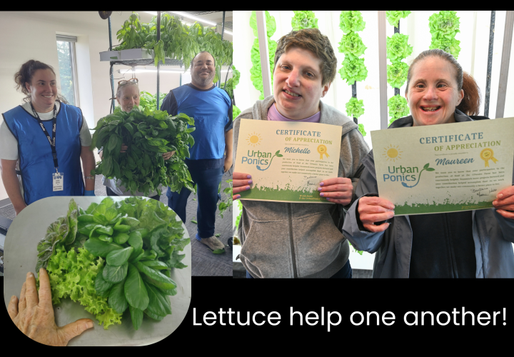 Lettuce help one another!