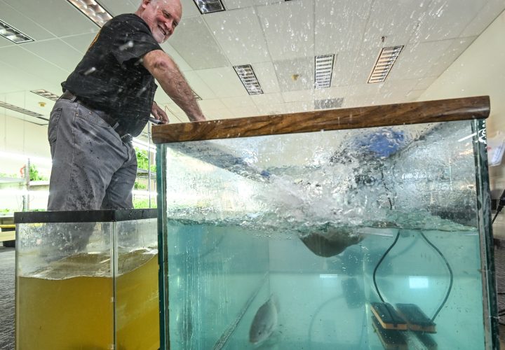 UPstairs-farm-meet-and-greet-10