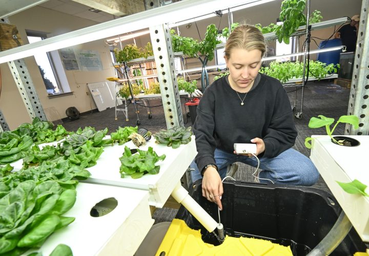 UPstairs-farm-meet-and-greet-12