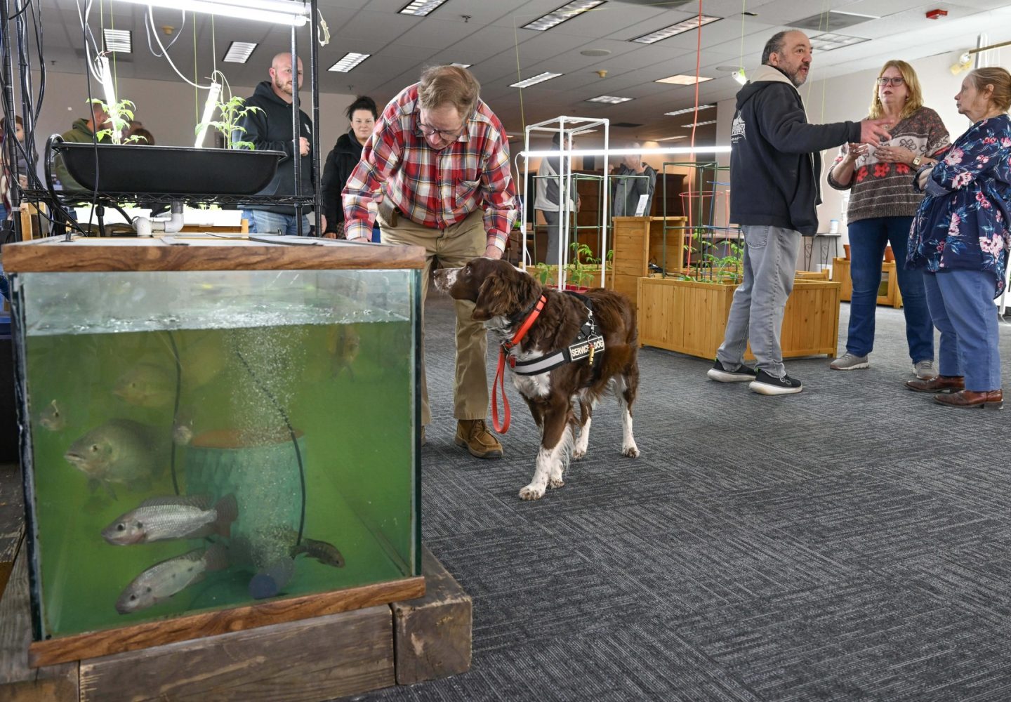 UPstairs-farm-meet-and-greet-2