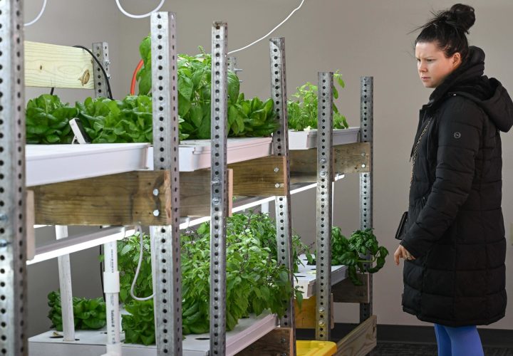 UPstairs-farm-meet-and-greet-3