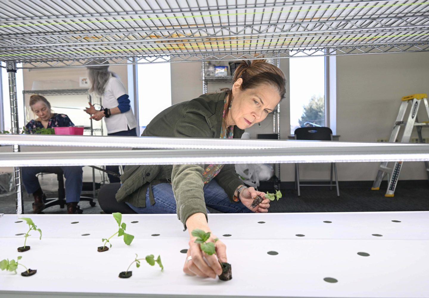 UPstairs-farm-meet-and-greet-4