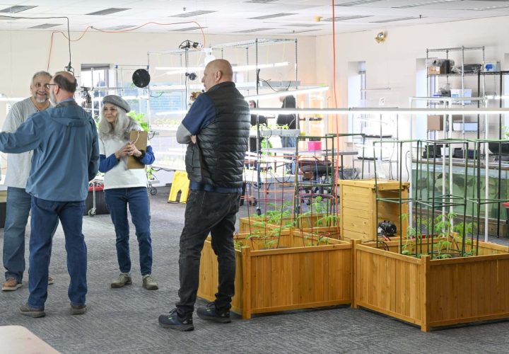 UPstairs-farm-meet-and-greet-5