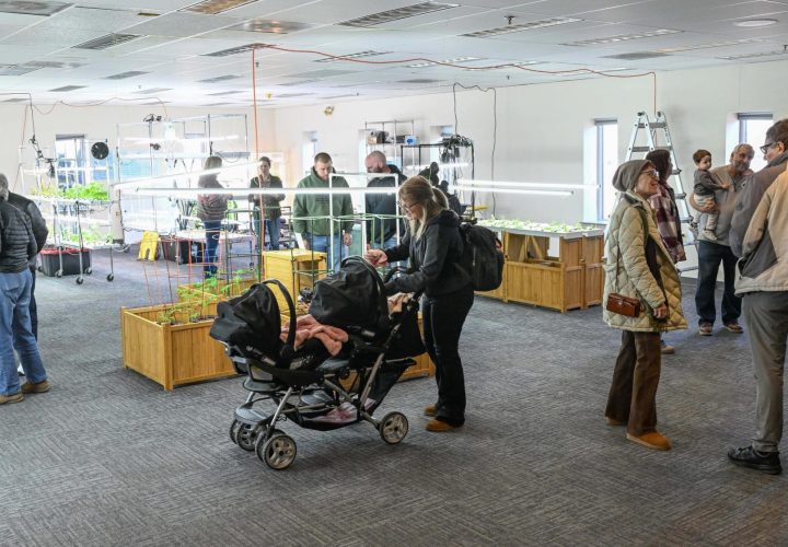 UPstairs-farm-meet-and-greet-7