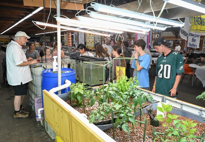 Full crowd at the aquaponic exhibit.