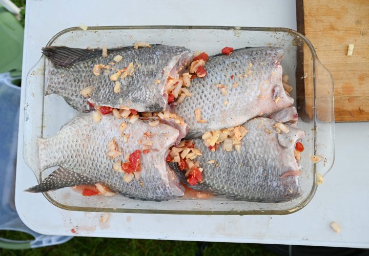 Tilapia prepared for the grill.